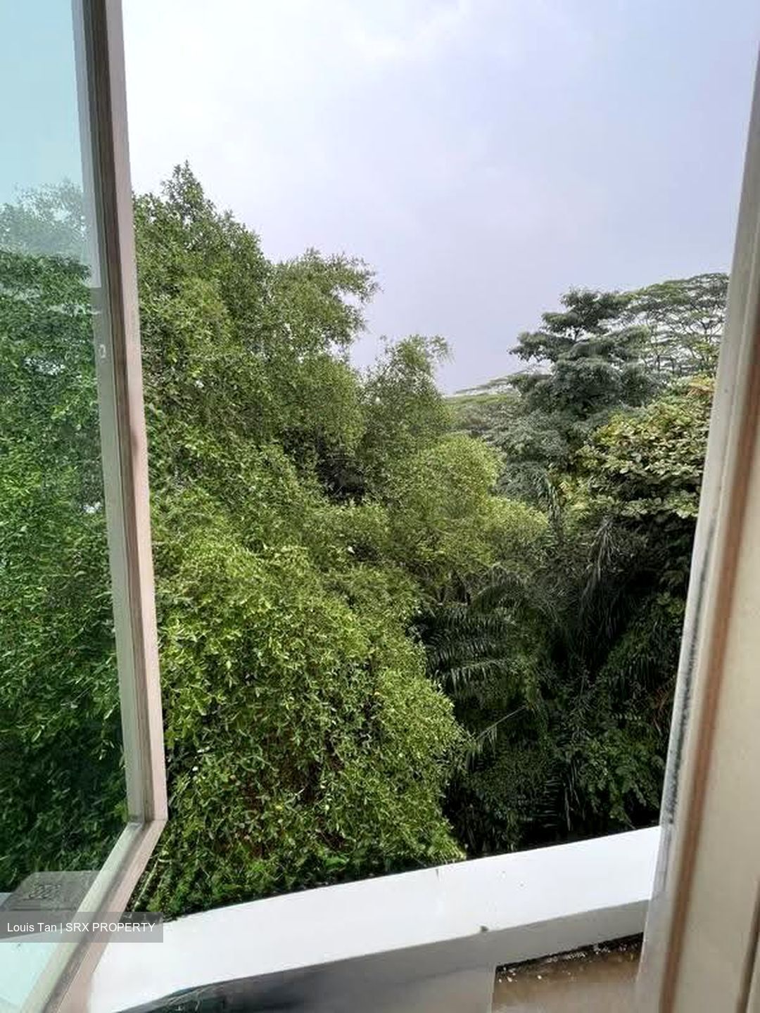 Le Hill Condominium (D5), Condominium #625583281